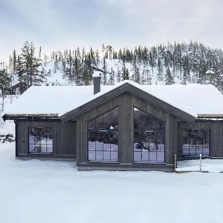 Fantastisk Hytte Pa Nesfjellet Casa vacanze