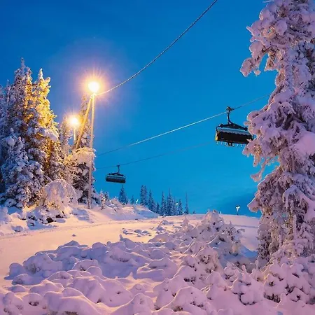Fantastisk Hytte Pa Nesfjellet * Nesbyen