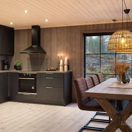 Vakantiehuis Fantastisk Hytte Pa Nesfjellet *