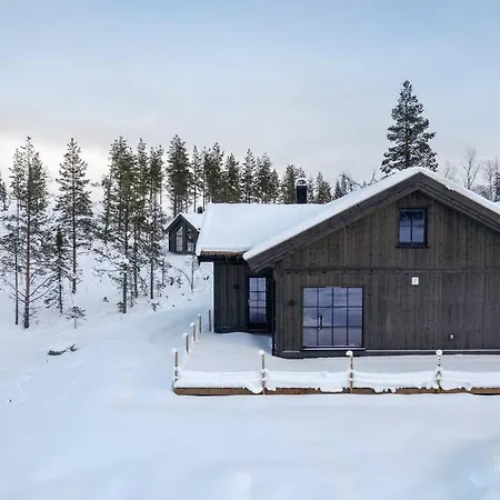 Casa vacanze Fantastisk Hytte Pa Nesfjellet *