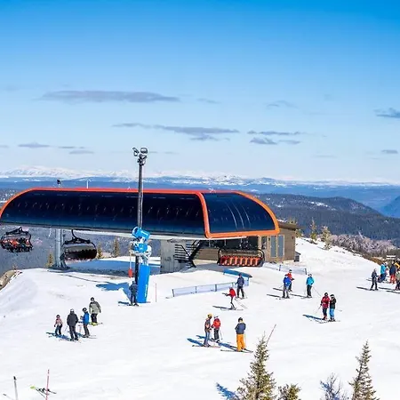 Fantastisk Hytte Pa Nesfjellet 別荘 ネスビン